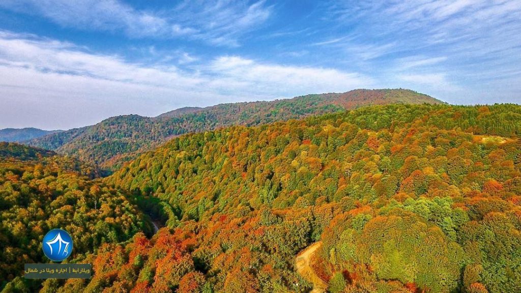 جاده عباس آباد جاده عباس اباد کلاردشت پاییز جاده عباس اباد زیبایی جاده کافه جاده عباس اباد کجاست (۲)