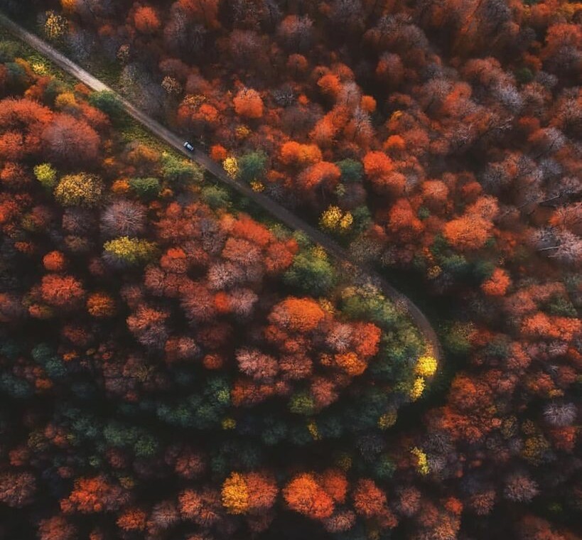 جاده عباس آباد جاده عباس اباد کلاردشت پاییز جاده عباس اباد زیبایی جاده کافه جاده عباس اباد کجاست (۲)