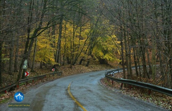 جاده عباس آباد جاده عباس اباد کلاردشت پاییز جاده عباس اباد زیبایی جاده کافه جاده عباس اباد کجاست (۴)