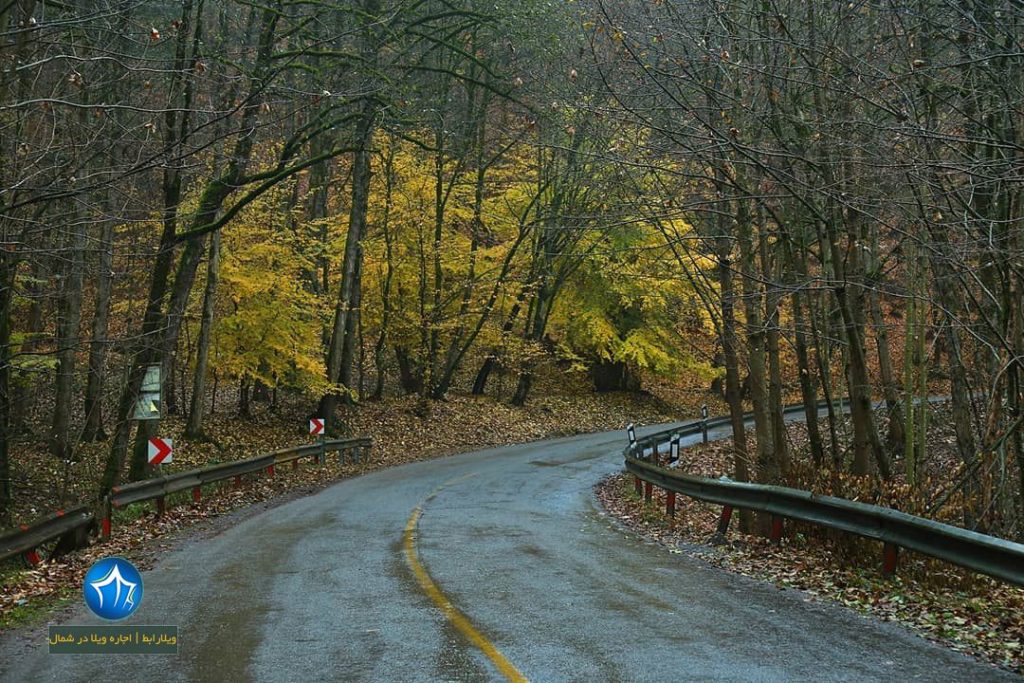 جاده عباس آباد جاده عباس اباد کلاردشت پاییز جاده عباس اباد زیبایی جاده کافه جاده عباس اباد کجاست (۴)
