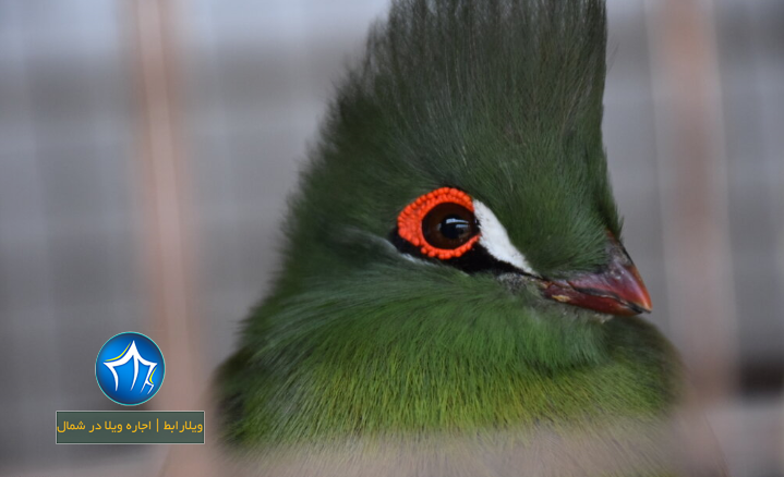 جاذبه های توریستی آستارا-جاذبه های گردشگری شهرستان آستارا-جاذبه های دیدنی آستارا-جاذبه های آستارا-جاذبه های طبیعی آستارا۴
