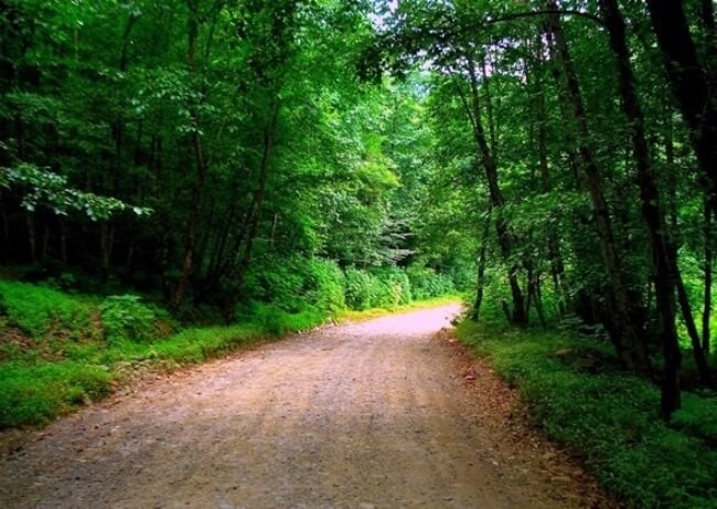 جاذبه های توریستی لنگرود-جاذبه های لنگرود-جاذبه های گردشگری در لنگرود- جاذبه های دیدنی لنگرود- مکان های دیدنی لنگرود۳