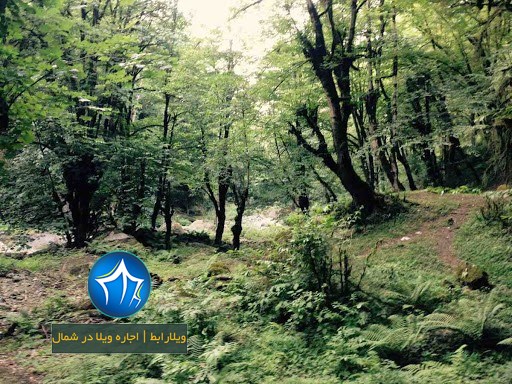 جاذبه های طبیعی کلاچای-جاذبه های شهر کلاچای-جاذبه های دیدنی کلاچای-جاذبه های تفریحی کلاچای- دیدنی های کلاچای جاذبه های گردشگری کلاچای