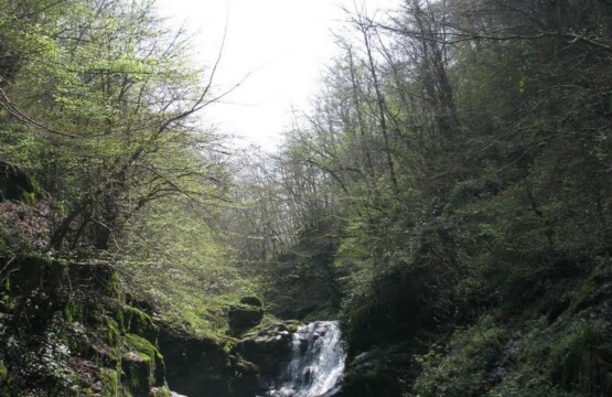 جاذبه-های-طبیعی-کلاچای-جاذبه-های-شهر-کلاچای-جاذبه-های-دیدنی-کلاچای-جاذبه-های-تفریحی-کلاچای-دیدنی-های-کلاچای-جاذبه-های-گردشگری-کلاچای4