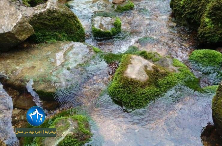 جاذبه های چابکسر-جاذبه های دیدنی چابکسر-جاذبه های توریستی چابکسر-مکان های دیدنی چابکسر-مکانهای بکر چابکسر-جاهای دیدنی چابکسر چشمه دمکش