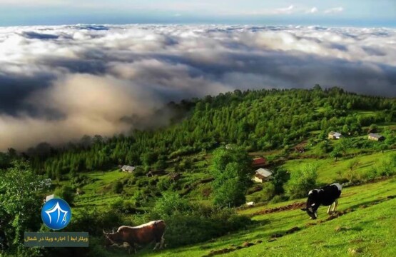 جاذبه های گردشگری تالش -جاذبه های طبیعی تالش-جاذبه های گردشه های تالش-جاذبه های دیدنی تالش- دریاچه سراگاه (۳)