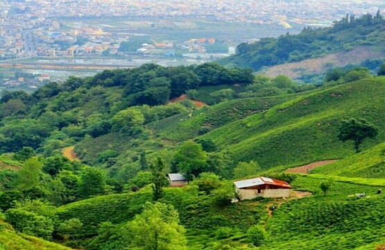 جاذبه های گردشگری لنگرود