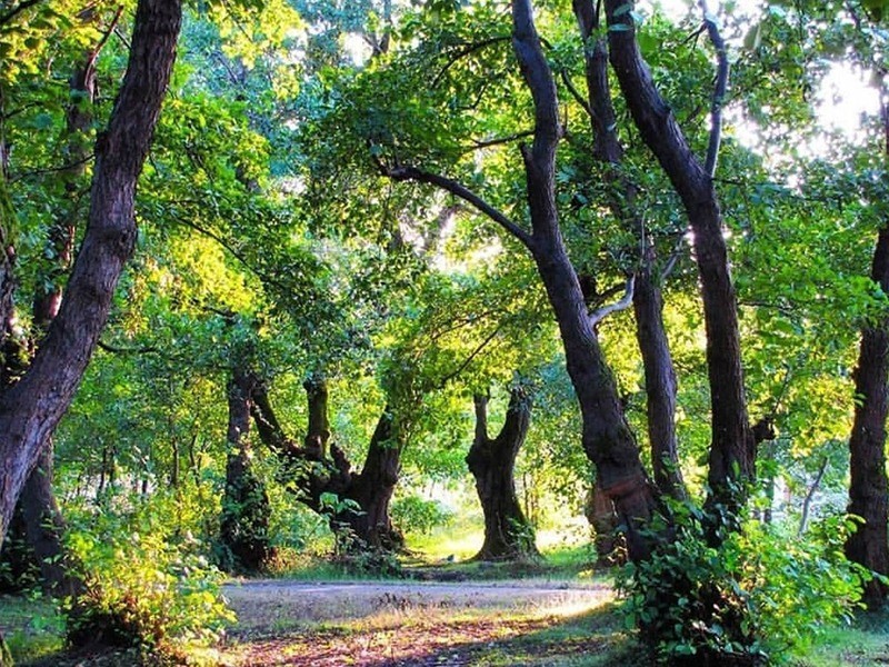 جاذبه های گردشگری کیاشهر - جاذبه های طبیعی کیاشهر-جاذبه های گردشگری بندر کیاشهر-جاذبه های دیدنی نگلی کیاشهر (۱)