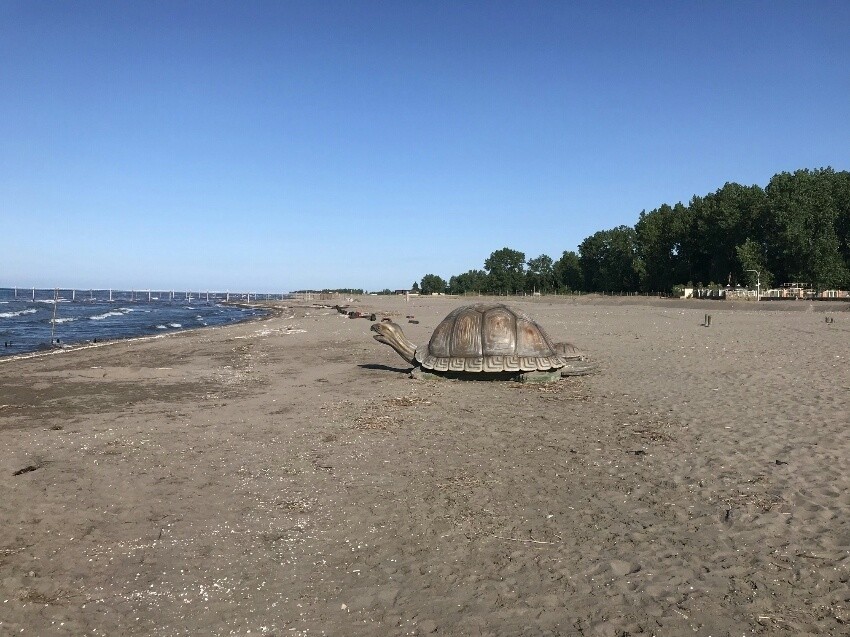 جاذبه های گردشگری کیاشهر - جاذبه های طبیعی کیاشهر-جاذبه های گردشگری بندر کیاشهر-جاذبه های دیدنی نگلی کیاشهر (۴)