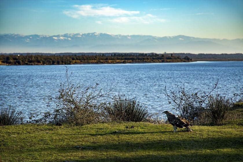 جاذبه های گردشگری کیاشهر - جاذبه های طبیعی کیاشهر-جاذبه های گردشگری بندر کیاشهر-جاذبه های دیدنی کیاشهر-جاهای دیدنی کیاشهر-جاذبه های کیاشهر