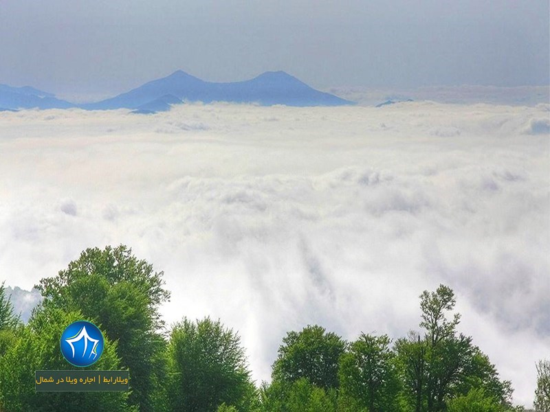 جنگل ابر کجاست-جنگل ابر گرگان-جنگل ابر شاهرود در تابستان-جنگل ابر در زمستان-جنگل ابر شاهرود کجاست-جنگل ابر گلستان۱