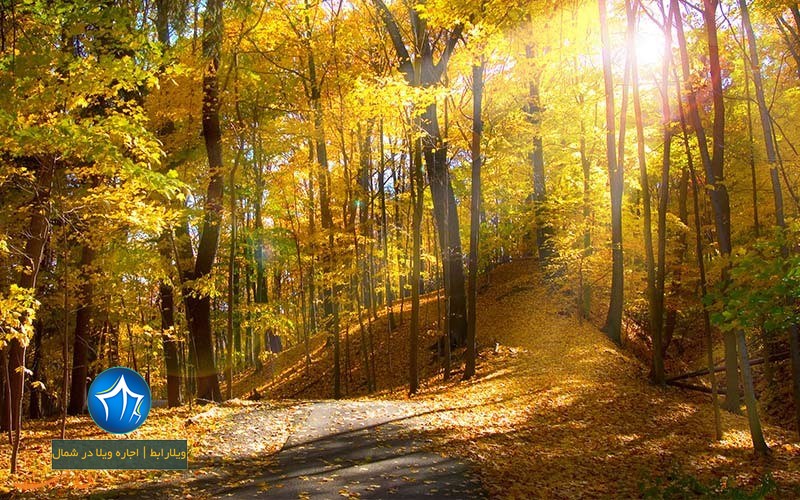 جنگل اولنگ کجاست-فاصله شاهرود تا جنگل اولنگ- جنگل اولنگ در پاییز- جنگل اولنگ در شاهرود-جنگل اولنگ گلستان-
