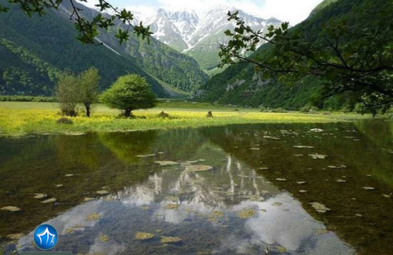 جنگل-دوهزار-تنکابن-جنگل-2000-3