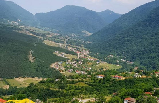 جنگل رویان طبیعت رویان