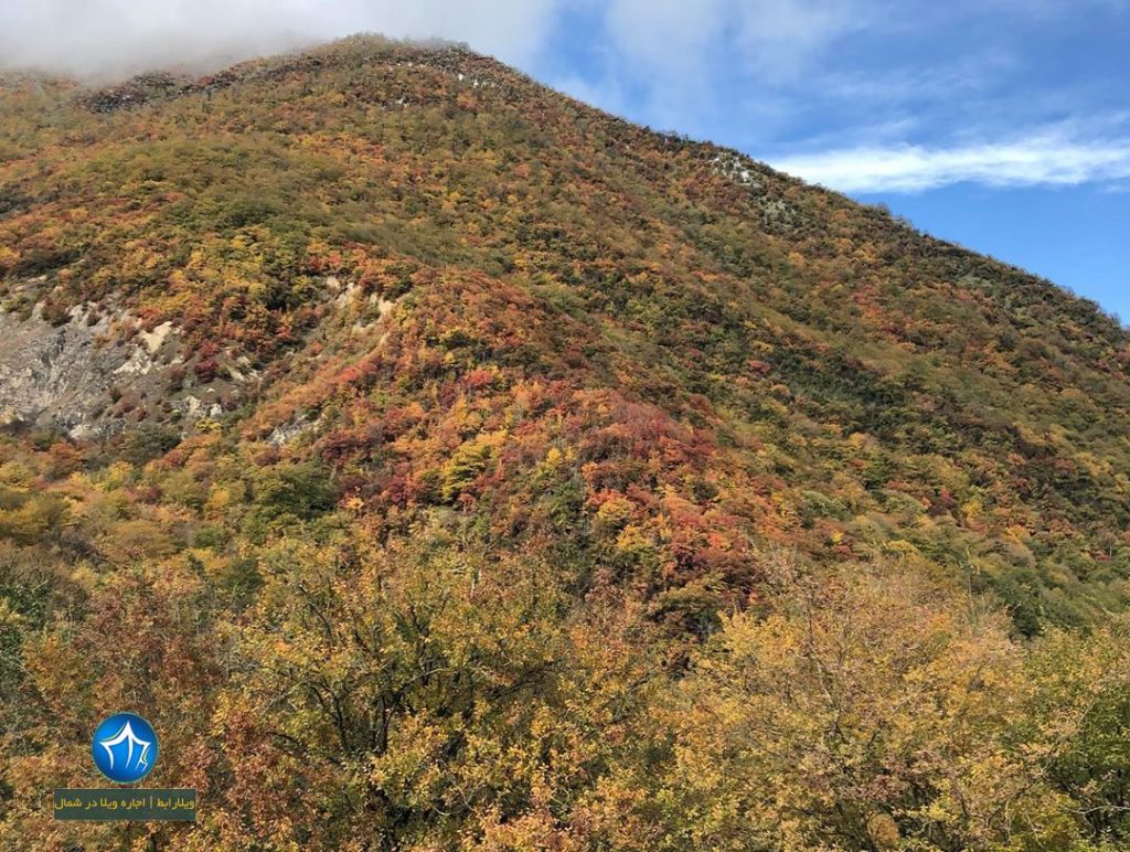 جنگل گلندرود رویان روستای گلندرود گلندرود کجاست جاذبه گردشگری رویان تور یکروزه گلندرود (۱)
