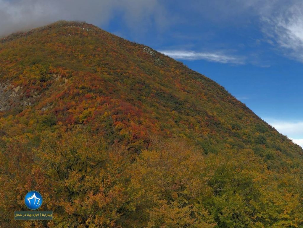 جنگل گلندرود رویان روستای گلندرود گلندرود کجاست جاذبه گردشگری رویان تور یکروزه گلندرود (۴)