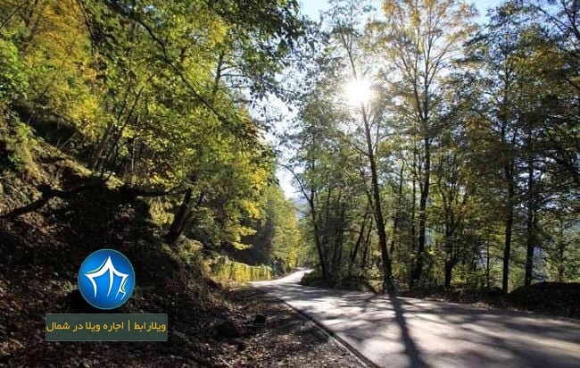 عکس پارک جنگلی خشکه داران کجاست؟ آشنایی با خشکه داران جاذبه گردشگری مازندران (۱)