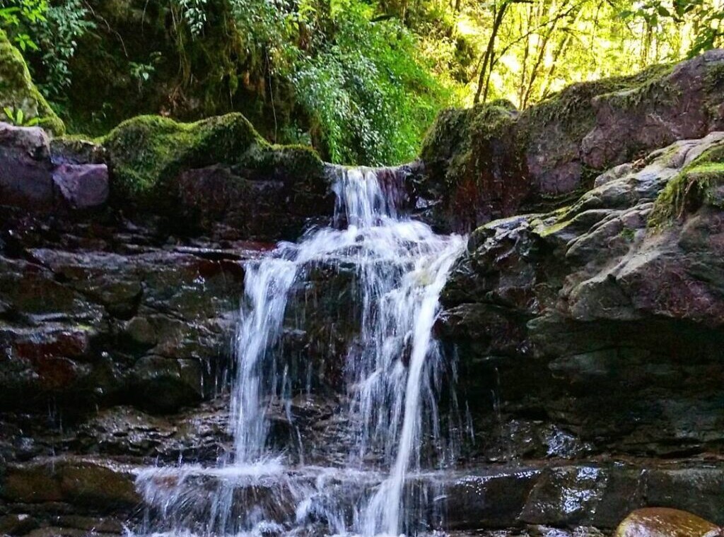 تصویر پارک جنگلی خشکه داران کجاست؟ آشنایی با خشکه داران جاذبه گردشگری مازندران (۲)