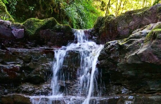 تصویر پارک جنگلی خشکه داران کجاست؟ آشنایی با خشکه داران جاذبه گردشگری مازندران (۲)