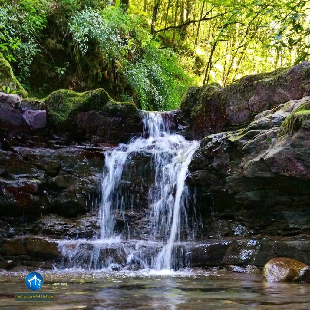 تصویر پارک جنگلی خشکه داران کجاست؟ آشنایی با خشکه داران جاذبه گردشگری مازندران (۲)