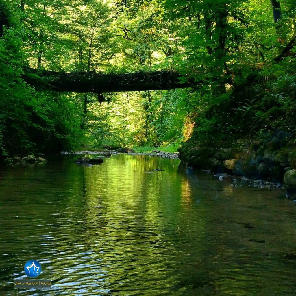  پارک جنگلی پارک ملی خشکه داران خشکه داران کجاست؟ آشنایی با خشکه داران جاذبه گردشگری مازندران ( پارک عباس اباد )