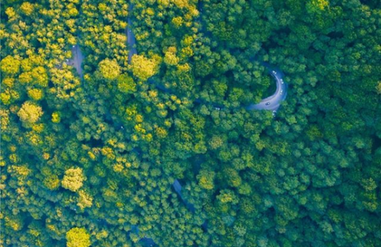 13 بدر کجا بریم؟ رامسر سیزده بدر رامسر کجا بریم