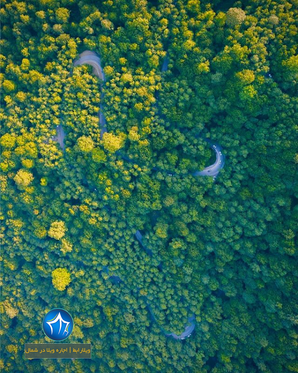 دالخانی دالان بهشت عروس ایران رامسر جنگل پارک شمال اجاره ویلا تنکابن (۴)