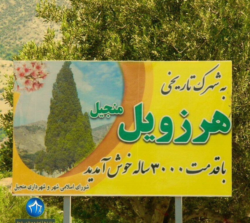 درخت سرو هرزویل رودبار (۲)