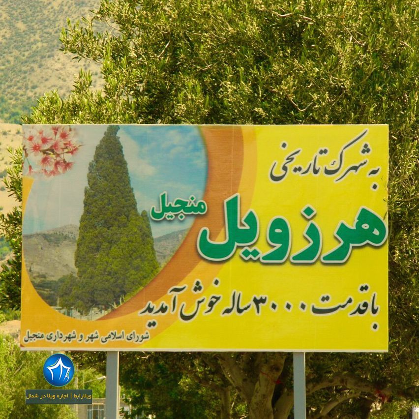 درخت سرو هرزویل رودبار (۲)