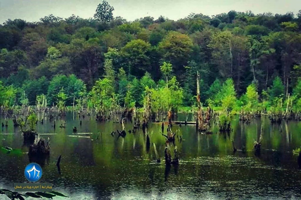دریاچه ارواح تالاب ملاکلا دریاچه ملا کلا بند ممرز تالاب ارواح نوشهر دریاچه ارواح مازندران تور ارواح نوشهر بند دریاچه