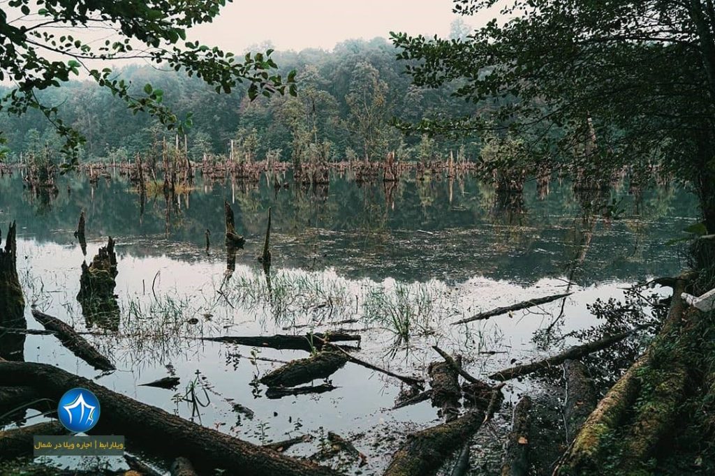 دریاچه ارواح تالاب ملاکلا دریاچه ملا کلا بند ممرز تالاب ارواح نوشهر دریاچه ارواح مازندران تور ارواح نوشهر بند دریاچه