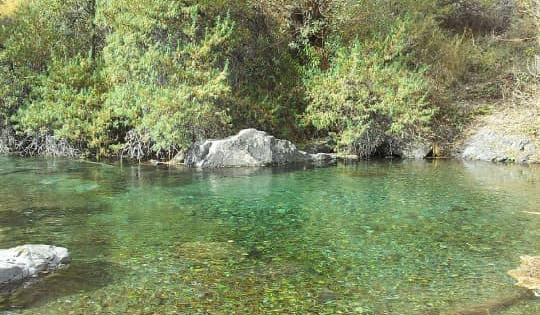 اجاره ویلا نور اجاره ویلا در نور