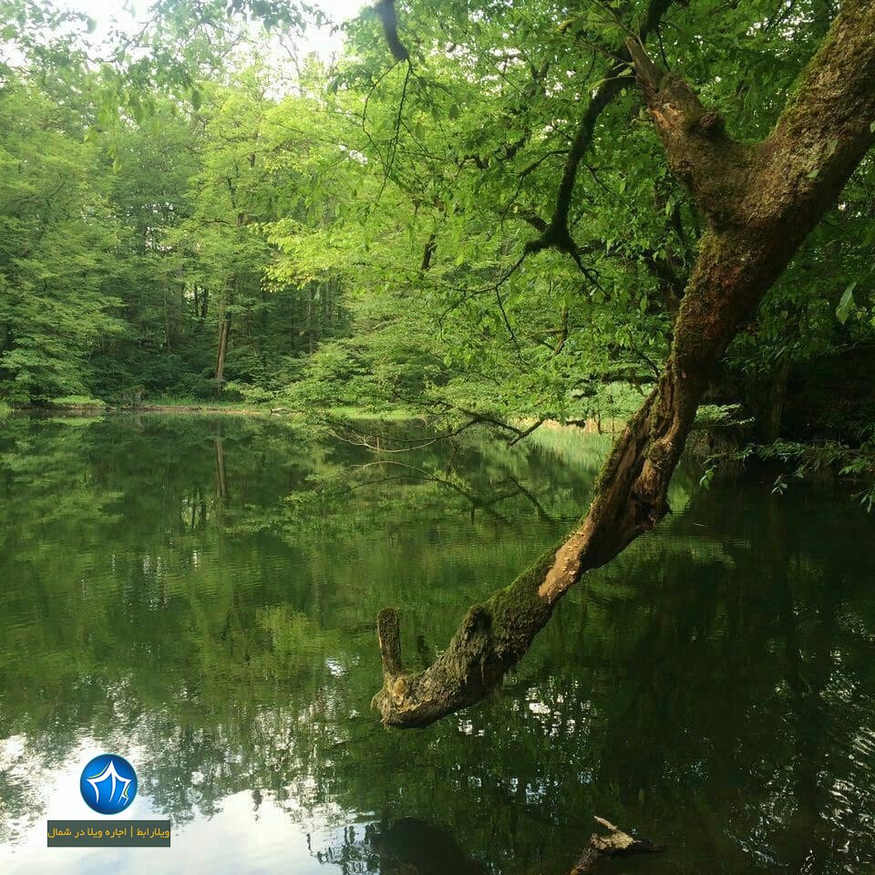 دریاچه فراخین نوشهر دریاچه فراخین کجاست دریاچه فراخین کجور تالاب فراخین