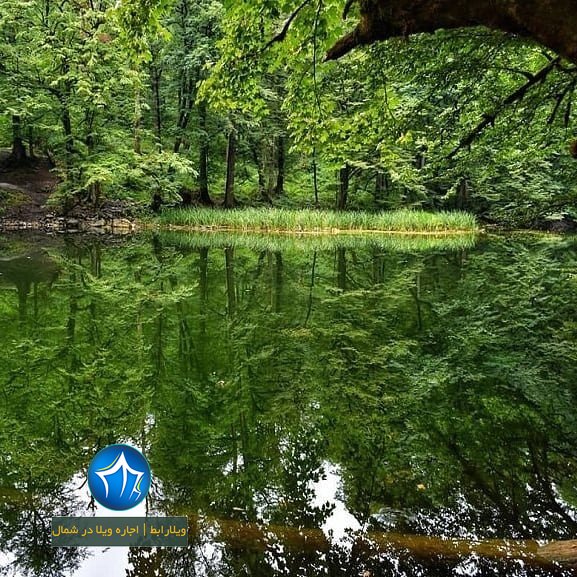 دریاچه فراخین نوشهر دریاچه فراخین کجاست دریاچه فراخین کجور تالاب فراخین (۵)