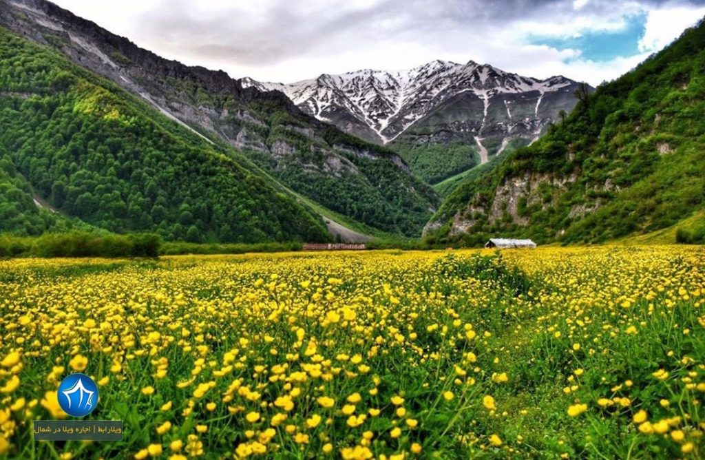 دشت دریاسر دریاسر کجاست دشت دریاسر تنکابن تور یکروزه دریاسر اقامت در دریاسر (۴)