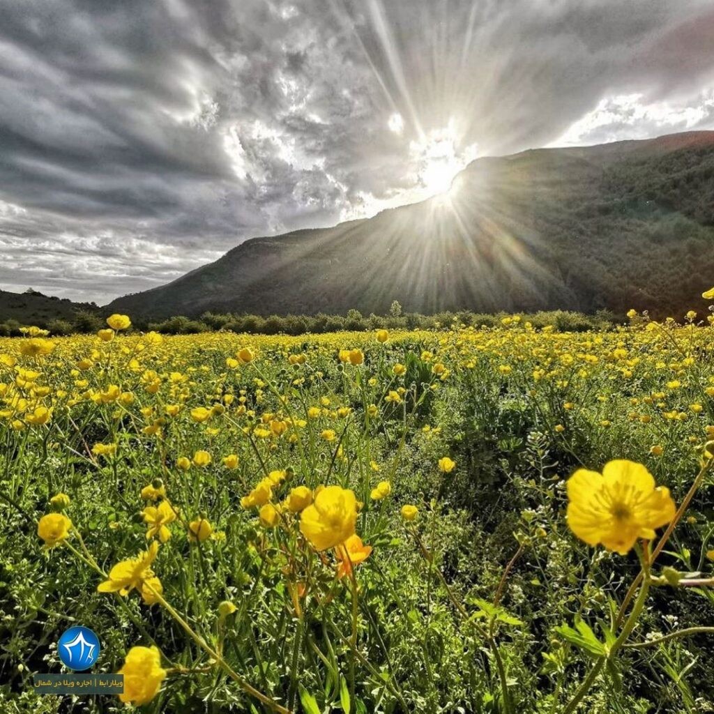 دشت دریاسر دریاسر کجاست دشت دریاسر تنکابن تور یکروزه دریاسر اقامت در دریاسر (۴)