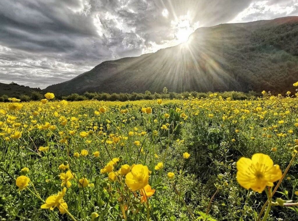 دشت دریاسر دریاسر کجاست دشت دریاسر تنکابن تور یکروزه دریاسر اقامت در دریاسر (۴)