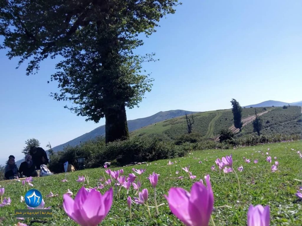 دهکده ییلاقی ورزشی سالانسر رودبار دهکده ییلاقی ورزشی سالانسر رودبار ) (۱)