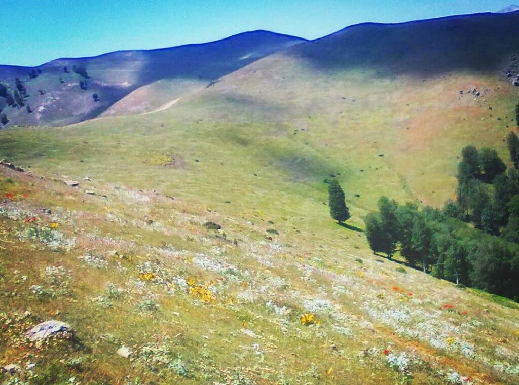 دهکده ییلاقی ورزشی سالانسر رودبار ( دهکده ییلاقی ورزشی سالانسر رودبار در ارتفاع ۱۲۵۰ متری) (۱)