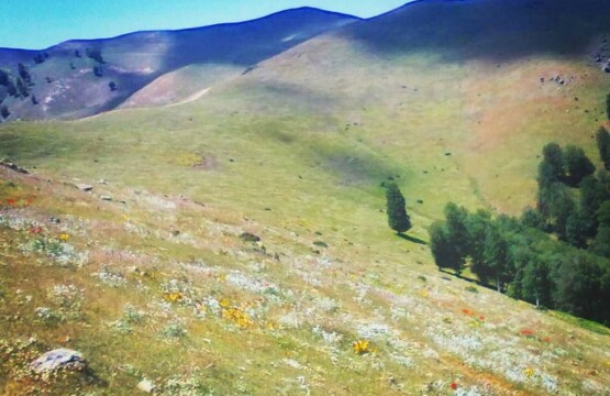 دهکده ییلاقی ورزشی سالانسر رودبار ( دهکده ییلاقی ورزشی سالانسر رودبار در ارتفاع ۱۲۵۰ متری) (۱)