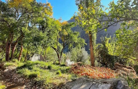 روستای انبوه رودبار مراسم انار چینی در بافت تاریخی روستای انبوه رودبار (۳)