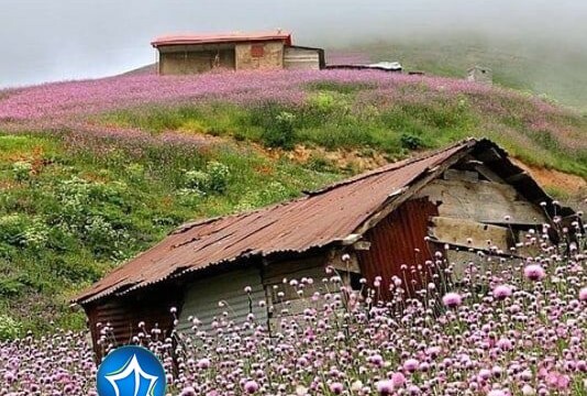 روستای مریان تالش، استان گیلان، گردشگران، ویلارابط، اجاره‌ی ویلا در مریان، تورهای گردشگری یک روزه (۱)