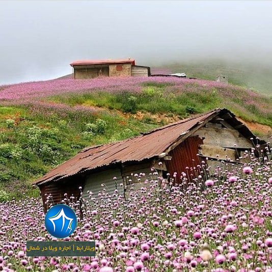 روستای مریان تالش، استان گیلان، گردشگران، ویلارابط، اجاره‌ی ویلا در مریان، تورهای گردشگری یک روزه (۱)