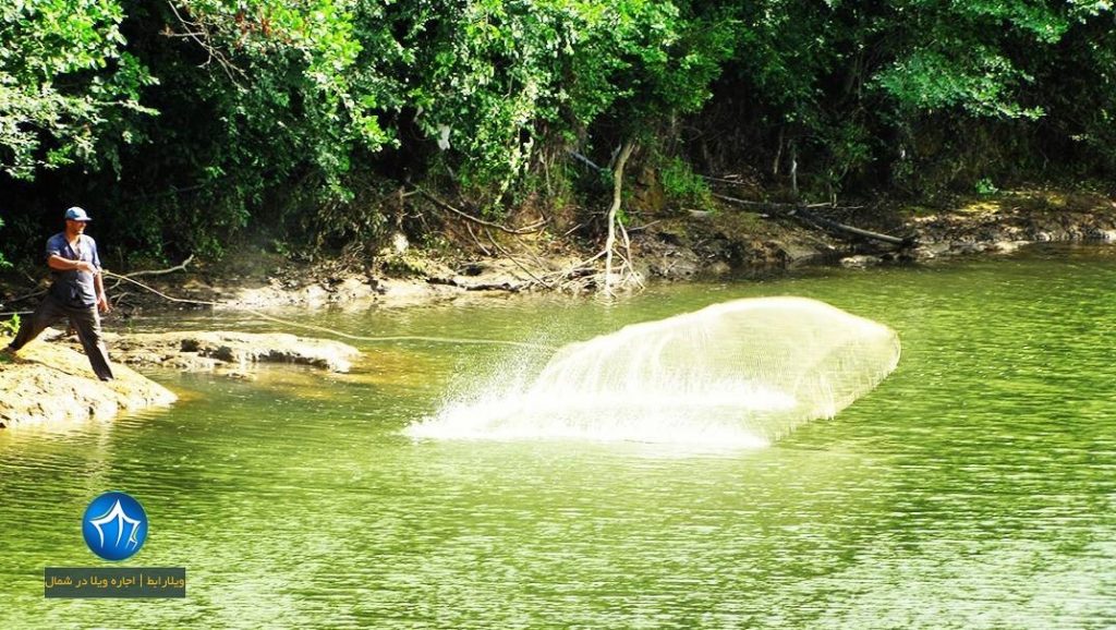 روستای مریدان لنگرود پارک جنگلی مریدان لنگرود۱