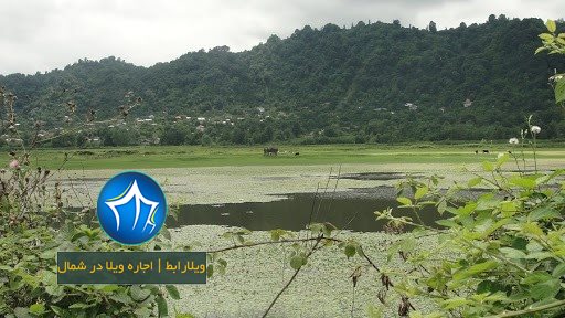 روستای ملاط لنگرود-روستای ملاط در شهرستان لنگرود استخر ملاط لنگرود۲