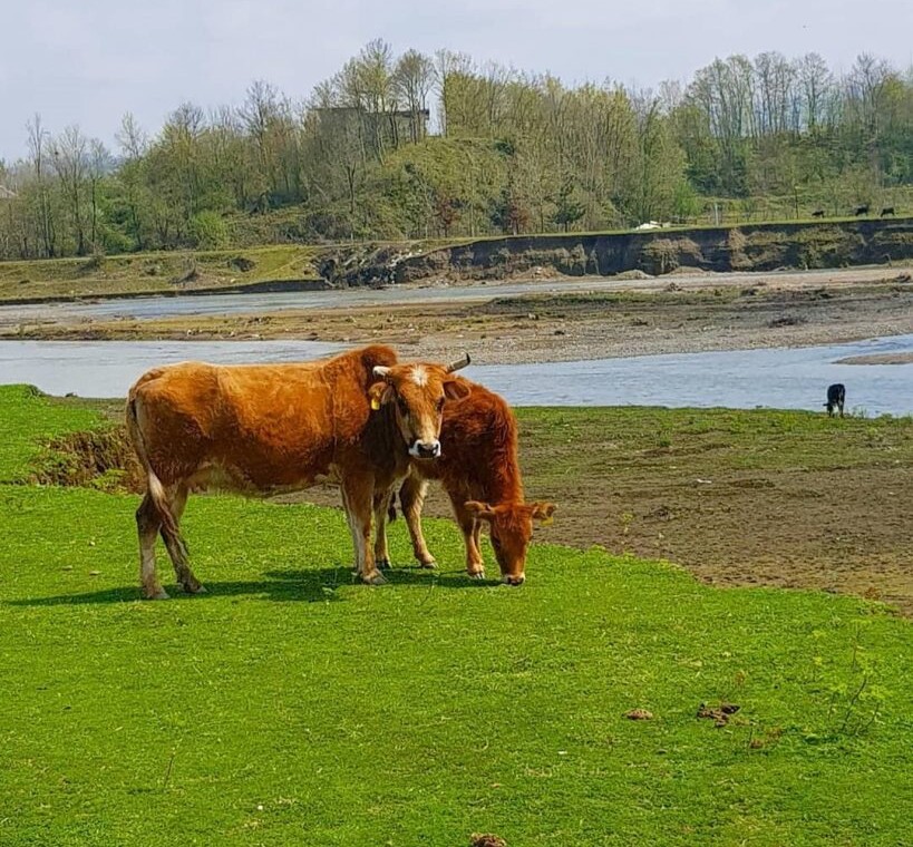 روستای نهزم گیلان-روستای نهزم صیقل کومه-نهزم کجاست-روستای نهزم شفت۲