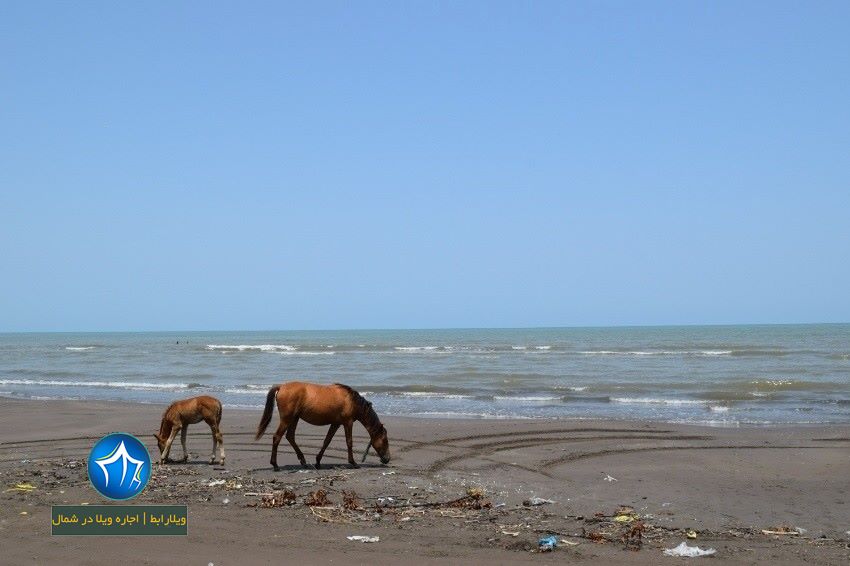 ساحل رودسر دریای رودسر ساحل تمیز رودسر ساحل شنی در رودسر جاذبه گردشگری رودسر ویلارابط جاذبه گردشگری گیلان دریای گیلان تمیز شنی (۱)