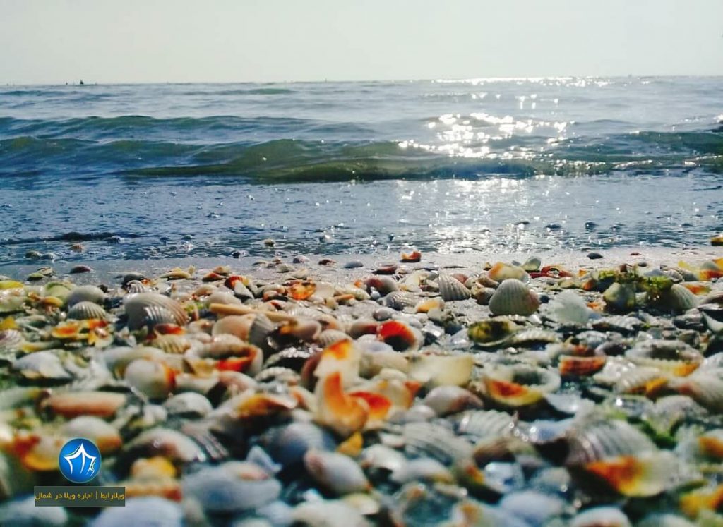 ساحل صدف آستارا یکی از ساحل های زیبای دریای خزر (۱)
