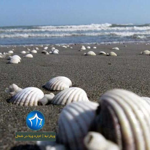 ساحل صدف آستارا یکی از ساحل های زیبای دریای خزر (۲)