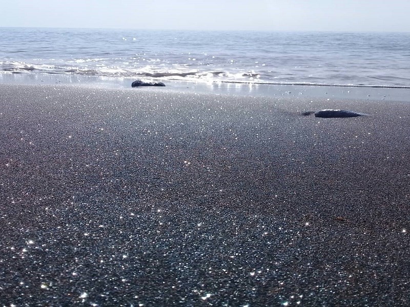 ساحل نقره ای قشم-عکس ساحل نقره ای قشم-ساحل نقره ای در قشم-جزیره هنگام ساحل نقره ای قشم-ساحل نقره ای جزیره هنگام- ساحل نقره ای هنگام